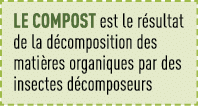 Le compost est le résultat de la décomposition des matières organiques par des insectes décomposeurs 