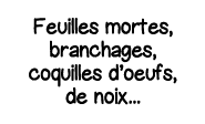 Feuilles mortes, branchages, coquilles d oeufs, de noix   