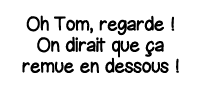 Oh Tom, regarde   On dirait que ça remue en dessous  