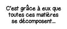 C est gr   ce à eux que toutes ces matières se décomposent   