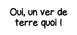 Oui, un ver de terre quoi  