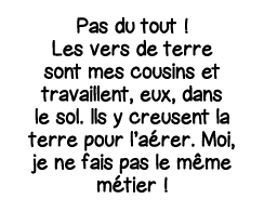 Pas du tout   Les vers de terre sont mes cousins et travaillent, eux, dans le sol  Ils y creusent la terre pour l aér   