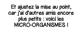 Et ajustez la mise au point, car j ai d autres amis encore plus petits : voici les micro-organismes  