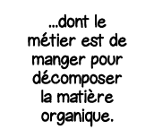   dont le métier est de manger pour décomposer la matière organique 