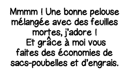 Mmmm   Une bonne pelouse mélangée avec des feuilles mortes, j adore   Et gr   ce à moi vous faites des économies de s   
