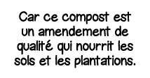 Car ce compost est un amendement de qualité qui nourrit les sols et les plantations 