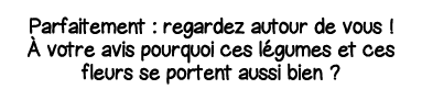 Parfaitement : regardez autour de vous   À votre avis pourquoi ces légumes et ces fleurs se portent aussi bien  