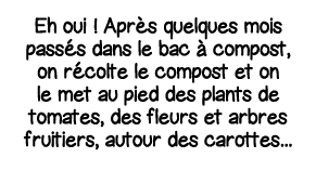 Eh oui   Après quelques mois passés dans le bac à compost, on récolte le compost et on le met au pied des plants de t   