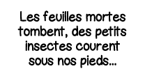 Les feuilles mortes tombent, des petits insectes courent sous nos pieds   