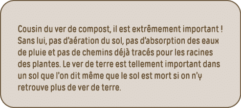 Cousin du ver de compost, il est extrêmement important   Sans lui, pas d aération du sol, pas d absorption des eaux d   