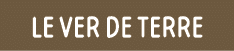 le ver de terre