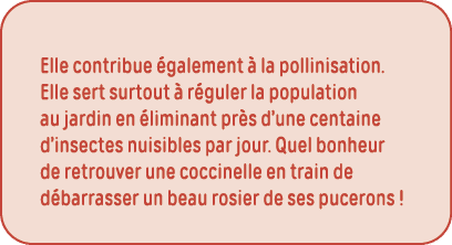 Elle contribue également à la pollinisation  Elle sert surtout à réguler la population au jardin en éliminant près d    