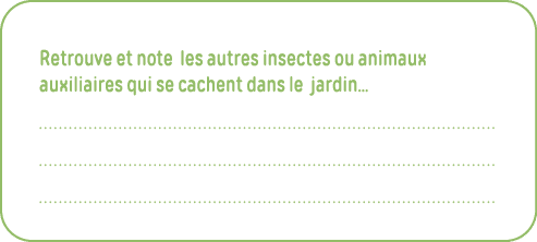 Retrouve et note les autres insectes ou animaux auxiliaires qui se cachent dans le jardin      