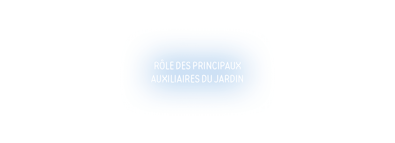 Rôle des principaux auxiliaires du jardin