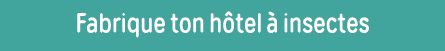 Fabrique ton hôtel à insectes