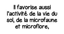 Il favorise aussi l activité de la vie du sol, de la microfaune et microflore, 