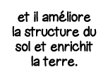 et il améliore la structure du sol et enrichit la terre 