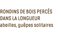 rondins de bois percés dans la longueur abeilles, guêpes solitaires