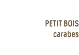 petit bois carabes