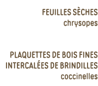 feuilles sèches chrysopes  plaquettes de bois fines intercalées de brindilles coccinelles