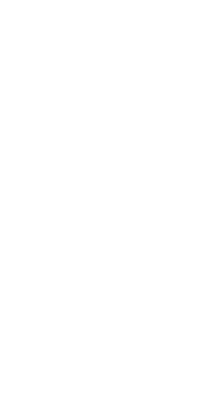 Nina a fabriqué une potion qui miniaturise   Par un concours de circonstances, Scotty en a bu et a disparu dans le la   