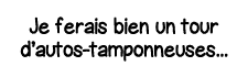 Je ferais bien un tour d autos-tamponneuses   