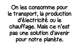 On les consomme pour le transport, la production d électricité ou le chauffage  Mais ce n est pas une solution d aven   