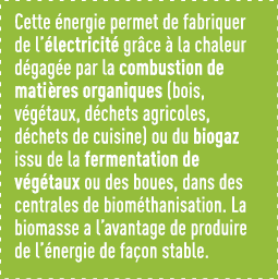 Cette énergie permet de fabriquer de l électricité grâce à la chaleur dégagée par la combustion de matières organique   