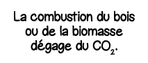 La combustion du bois ou de la biomasse dégage du CO2 