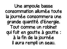 Une ampoule basse consommation allumée toute la journée consommera une grande quantité d énergie  Tout comme un robin   