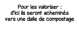 Pour les valoriser : d ici ils seront acheminés vers une dalle de compostage