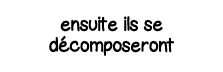 ensuite ils se décomposeront