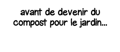 avant de devenir du compost pour le jardin   