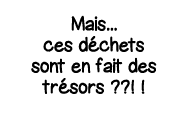 Mais    ces déchets sont en fait des trésors      