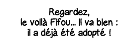 Regardez, le voilà Fifou    il va bien : il a déjà été adopté  
