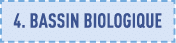4  bassin biologique
