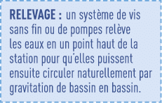 Relevage : un système de vis sans fin ou de pompes relève les eaux en un point haut de la station pour qu elles puiss   