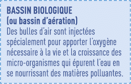 bassin biologique (ou bassin d aération) Des bulles d air sont injectées spécialement pour apporter l oxygène nécessa   