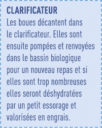 CLARIFICATEUR Les boues décantent dans le clarificateur  Elles sont ensuite pompées et renvoyées dans le bassin biolo   