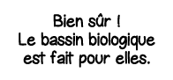 Bien sûr   Le bassin biologique est fait pour elles 