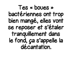 Tes   boues   bactériennes ont trop bien mangé, elles vont se reposer et s étaler tranquillement dans le fond, ça s a   