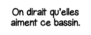 On dirait qu elles aiment ce bassin 