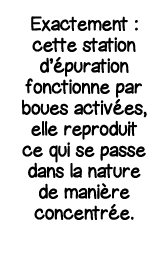 Exactement : cette station d épuration fonctionne par boues activées, elle reproduit ce qui se passe dans la nature d   