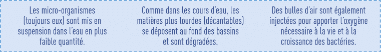 Les micro-organismes (toujours eux) sont mis en suspension dans l eau en plus faible quantité  Comme dans les cours d   