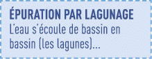 éPURATION PAR LAGUNAGE L eau s écoule de bassin en bassin (les lagunes)   