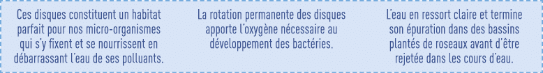 Ces disques constituent un habitat parfait pour nos micro-organismes qui s y fixent et se nourrissent en débarrassant   