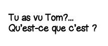 Tu as vu Tom     Qu est-ce que c est  