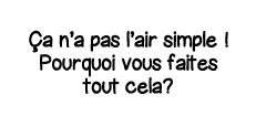 ça n a pas l air simple   Pourquoi vous faites tout cela 