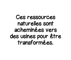Ces ressources naturelles sont acheminées vers des usines pour être transformées 