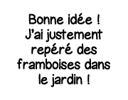 Bonne idée   J ai justement repéré des framboises dans le jardin  